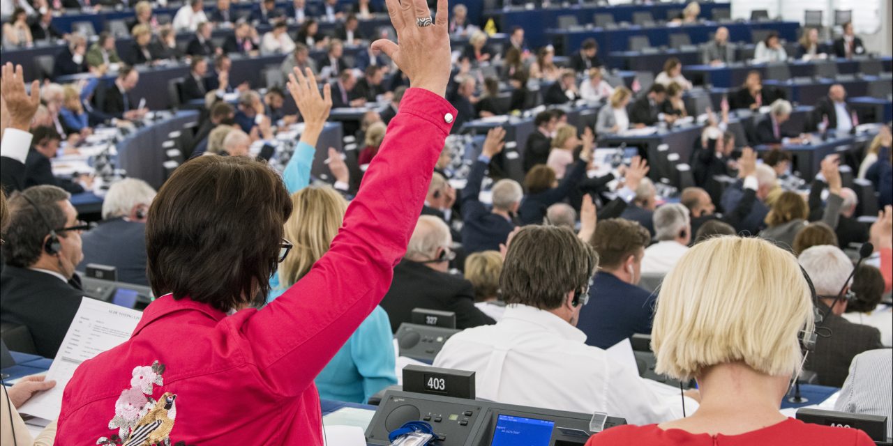 Élections européennes de 2019 : les idéaux et les intérêts particuliers